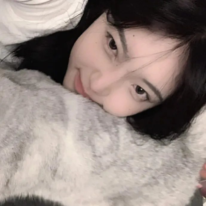 一个妨碍了希特勒的人